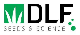 logo dlf