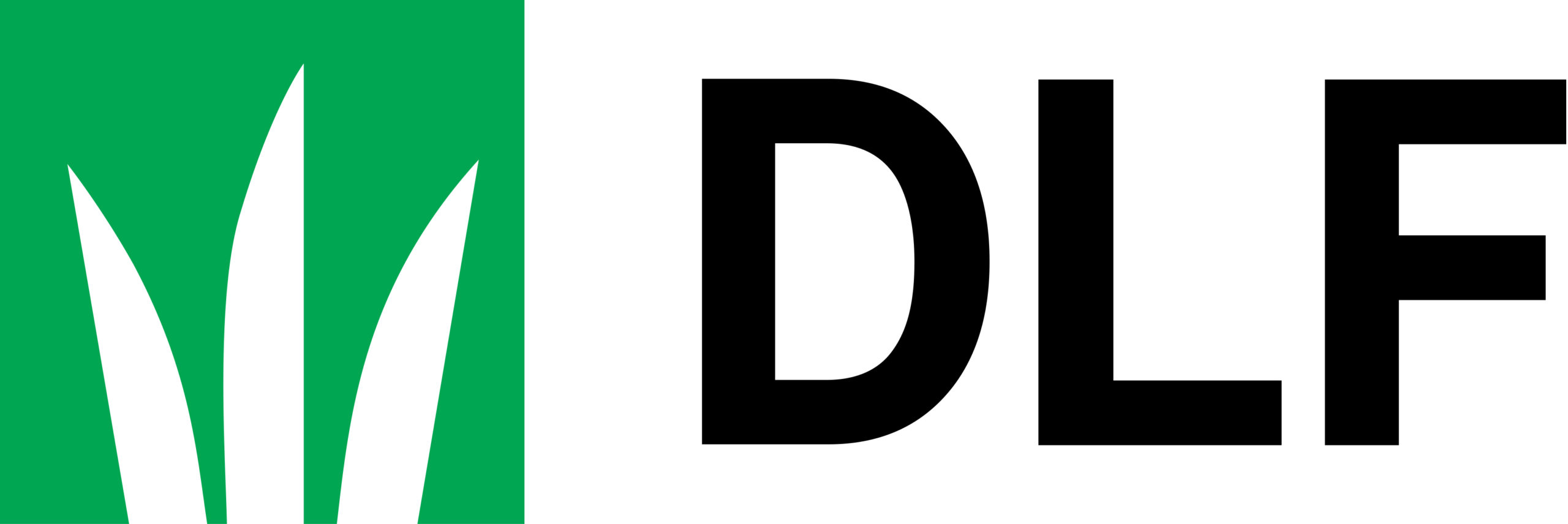 DLF logo RGB pos (1)